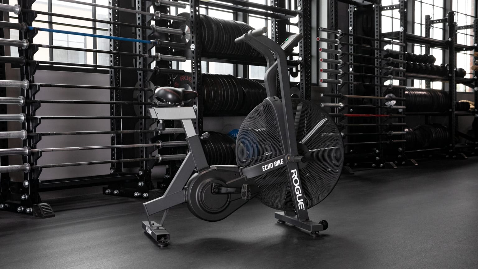 Rogue echo bike exercises sales
